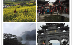 天游ty8·(中国区)_天游线路检测中心