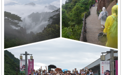 天游ty8·(中国区)_天游线路检测中心